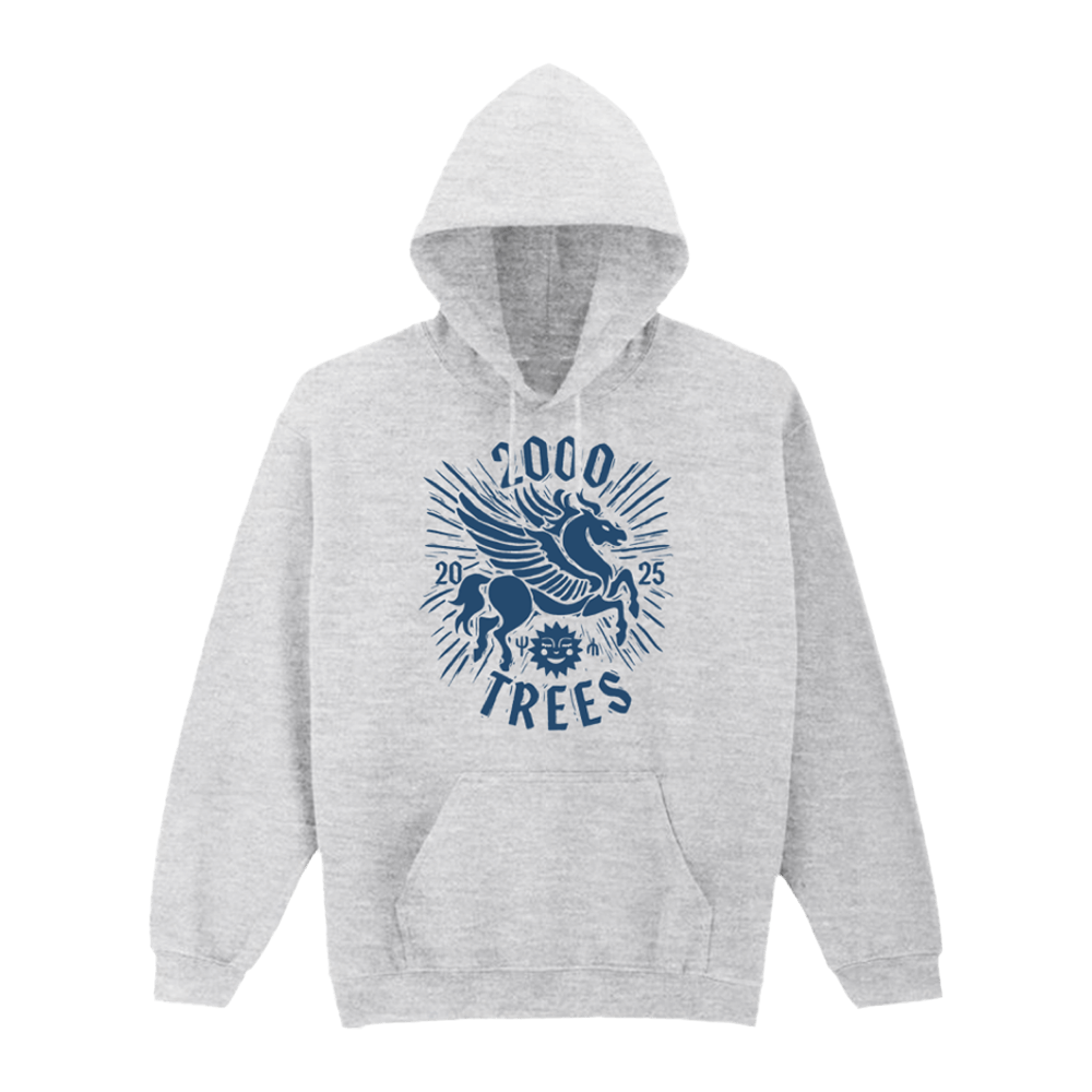 2025 Official Hoodie - Grey